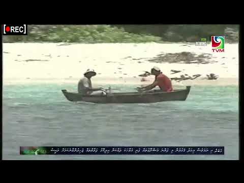 o wazan (gaumee song)