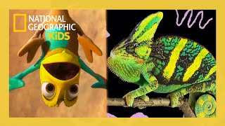 Meet the Disney Princess Sidekicks in Real Life! 🐯🐷🐭💚 | @natgeokids