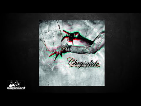 Chrysalide - 2010