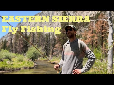 Exploring Hidden Eastern Sierra Creeks | Fly Fishing with Guide Chad Kasten