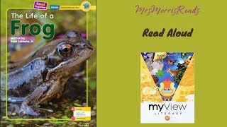 Download lagu THE LIFE OF A FROG MyView Literacy First Grade Unit 2 Week 1 Read Aloud mp3 Download lagu THE LIFE OF A FROG MyView Literacy First Grade Unit 2 Week 1 Read Aloud mp3