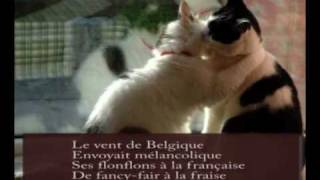 Le Baiser : Alain Souchon.