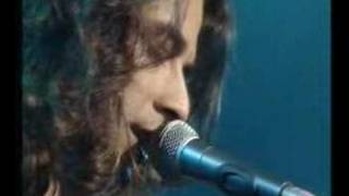 The Monochrome set - sweet chariots