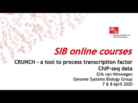 CRUNCH - a tool to process transcription factor ChIP-seq data