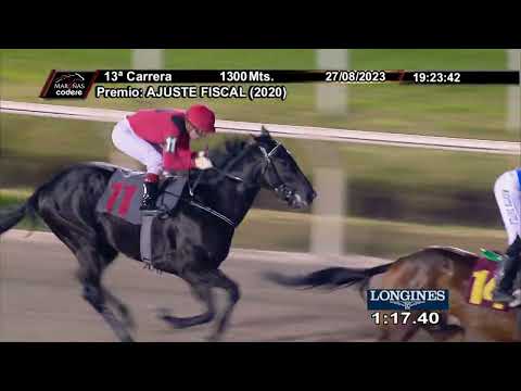 230827 c13 ALL TRICK /BRZ)