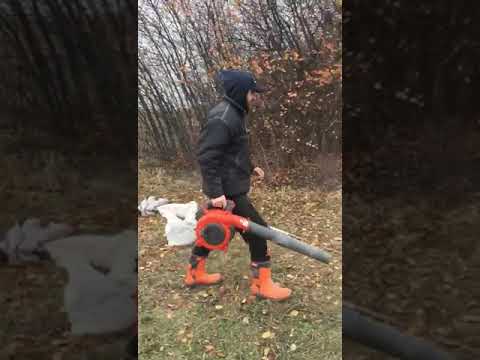 20 ноября 2019 г.