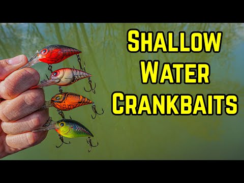 Fishing CrankBaits in Shallow water for BIG Bass - CRAZY ACTION