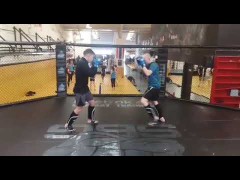 Wimp to warrior Dublin series 2 some light sparring in SBG Concorde!