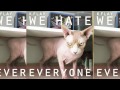 K.FLAY - WE HATE EVERYONE (HQ) 