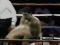 Tommy Morrison Vs Joe Hipp