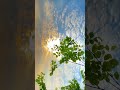 Feel The Nature Nature Love Flute Naturelovers Naturevideo Viralvideos Ytstort