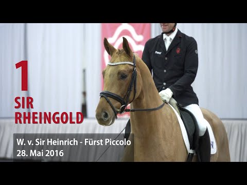 01 Sir Rheingold Wallach v. Sir Heinrich - Fürst Piccolo