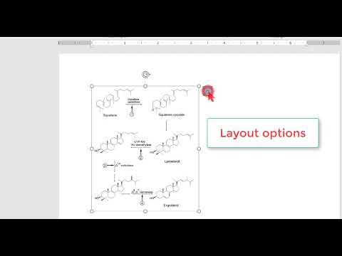 Video thumbnail for #9 Insert part 2