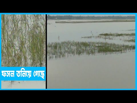 বাড়ছে নদ-নদীর পানি