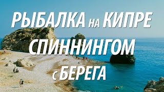 Ловля с берега на океане