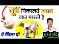 गाय दूध देते समय लात मारती है ये खिला द�