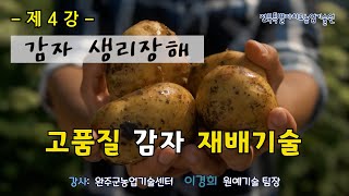 [농업인 실용교육] 고품질 감자 재배기술 4강 - 감자 생리장해 / 이차생장 / 열개 / 중심공동 / 내부갈…