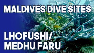 Maldives Dive Site | Lhofushi / Medhu Faru | South Male Atoll