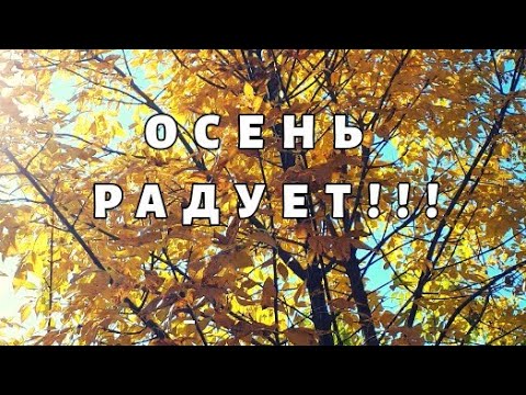 Осень радует своими пейзажами))Золотая осень))Природа