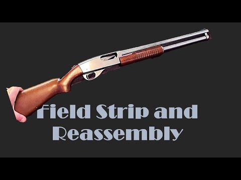 How to Field Strip the Smith & Wesson 916A Shotgun