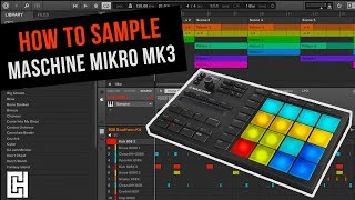 How To Sample on Maschine Mikro MK3 | Tutorial