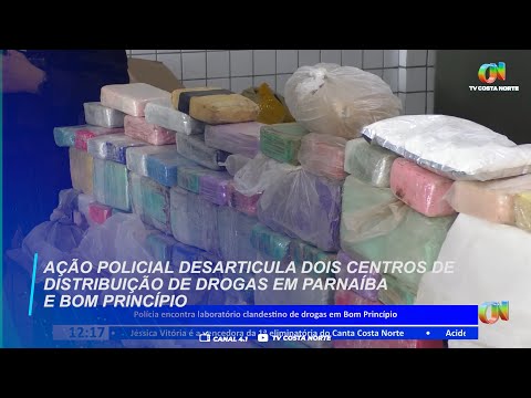 Ação policial desarticula dois centros de distribuição de drogas em Parnaíba e Bom Princípio