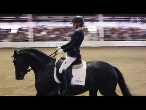 Ivanhoe v. Millennium - Hohenstein unter Wenke Tewes