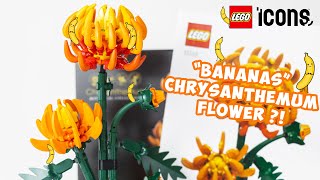 YouTube thumbnail: LEGO Icons Botanical Collection Chrysanthemum (10368) | Speed Building & Review 2024