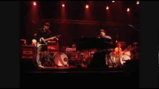 Black and Blue - Seabird