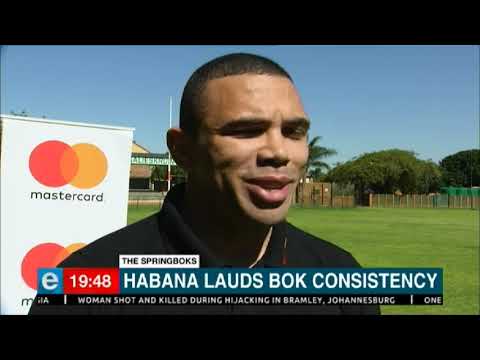 Habana hopes new Springbok Coach will keep structure
