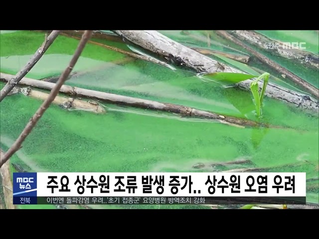 주요 상수원 조류 발생 증가 상수원 오염 우려