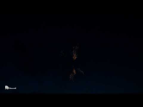 76 Pro Line - Gold Wave Criss Cross