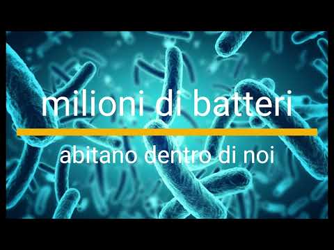 Antonio Artegiani-13