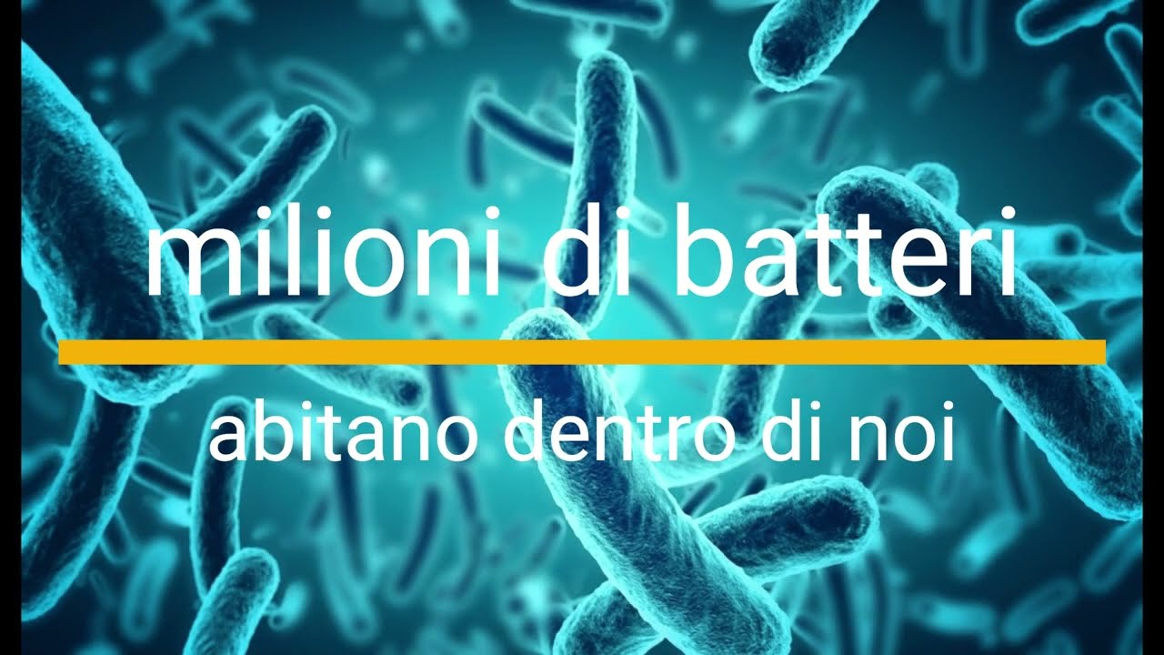 Antonio Artegiani-13