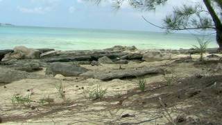 preview picture of video 'Scenary of Old Fort Bay Beach - Bahamas'