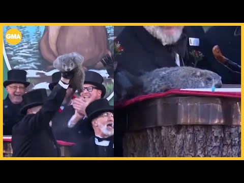 Punxsutawney Phil makes winter prediction on Groundhog Day