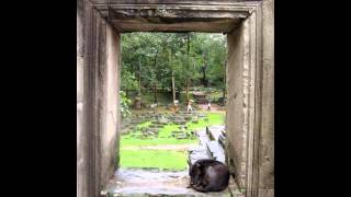 Temple Dreaming in Angkor Wat