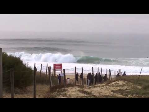 Royal Barrique 2016 - 11/12/2016