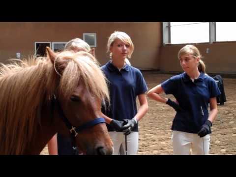 DJIM 2010 - Team Junge Züchter - www.isibless.de