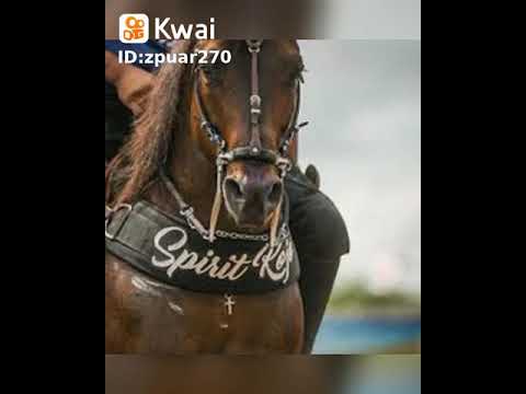 A sua inveja não diminui o meu talento