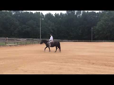 SCR Show 4 Class 50 English Eq W/T Cheyenne Robinson & Wonderley Pearl