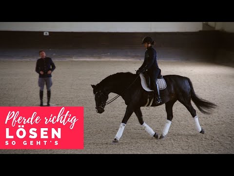 Besser reiten mit Christoph Ackermann | Pferde richtig lösen