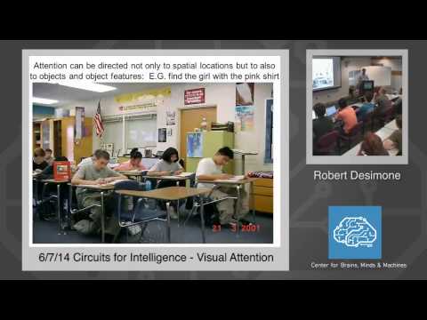 6/7/14 Circuits for Intelligence - Bob Desimone: Visual Attention