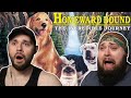 HOMEWARD BOUND THE INCREDIBLE JOURNEY BROKE OUR HEARTS