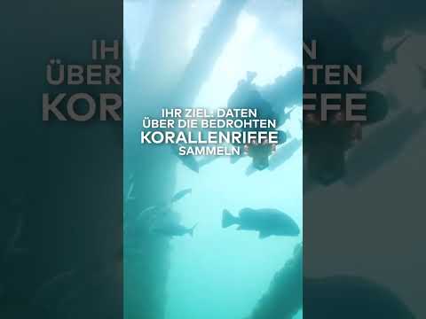 KORALLEN IN NOT: Wie diese Drohne ganze Korallenriffe retten kann | WELT #shorts