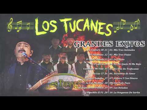 Los Tucanes de Tijuana: Grandes Éxitos Inolvidables 🎶🔥