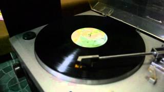 Sweet Guinevere, Vinyl Recording Gordon Lightfoot, Endless Wire Album