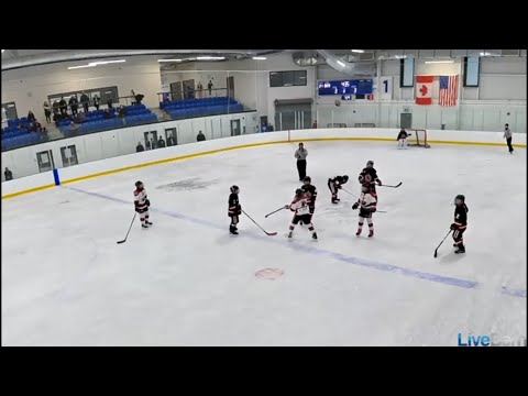 Brantford player suspended after slash to the head in Under-11 hockey game in Cambridge.