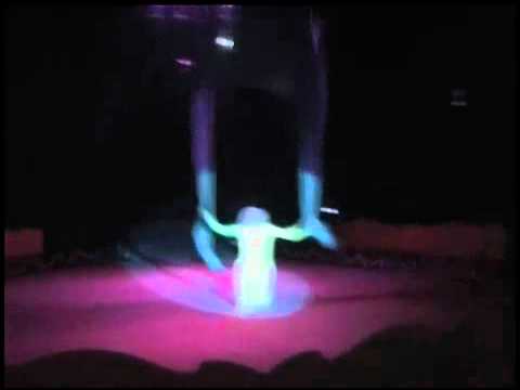 Aerial Silks Act Circus Artistic Agency Golden Stars  Presents:(artist 00169)