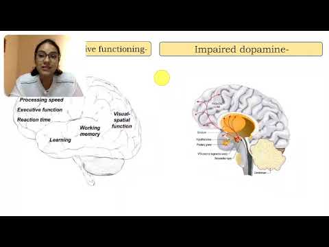 Video presentation: Screentime